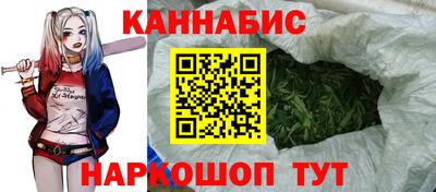 трава Кандалакша