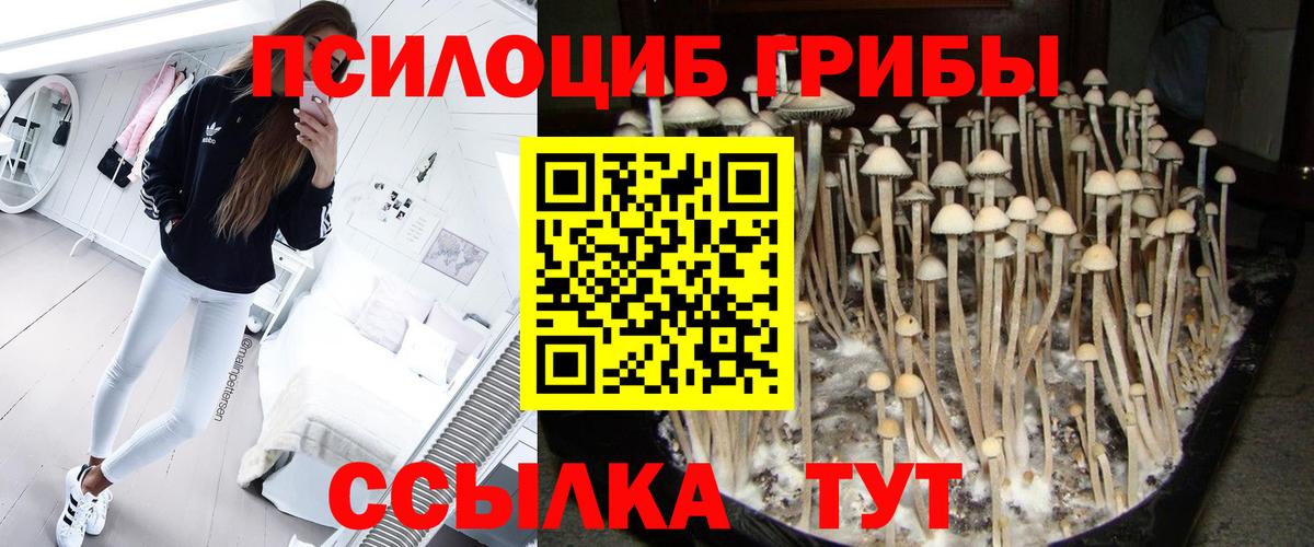 Зима  Псилоцибиновые грибы GOLDEN TEACHER  Псилоцибиновые грибы GOLDEN TEACHER  Вход с VPN 