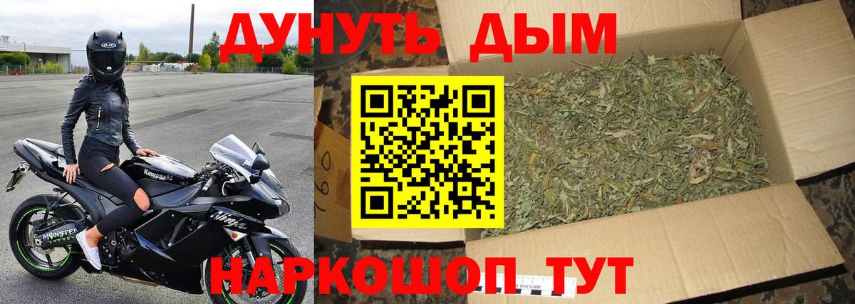 Канабис план  Канабис LSD WEED  Вход с VPN  Зима  Бошки марихуана Bruce Banner 